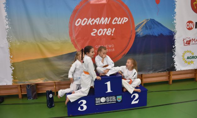 Ookami Cup 2018